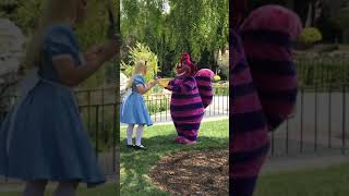 Alice & The Cheshire Cat Enjoy A Cup Of Tea Together - Disneyland 92421