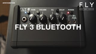 FLY 3 Bluetooth | Emulated Output Recording | Blackstar