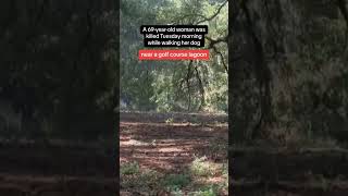 Woman Killed In Alligator Attack While Walking Dog Near F Course In South Carolina