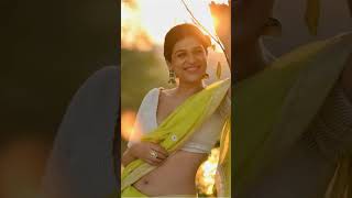 Shraddha Das Saree Shraddha Das Saree Photoshoot Shraddha Das Saree Wearing Shraddha Das