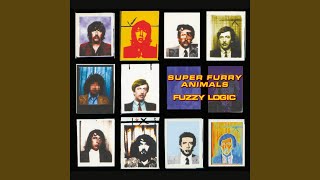 Watch Super Furry Animals Death By Melody video