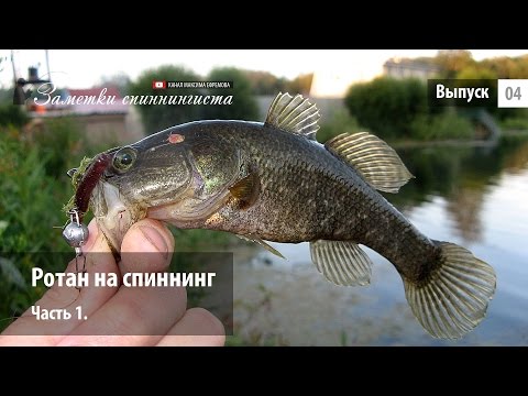 можно ли ловить ротана на спиннинг можно ли ловить ротана на спиннинг