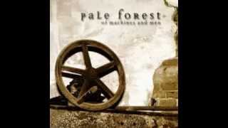 Watch Pale Forest Mooncycle video