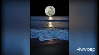 İnsan Məskən Salır Filmindən Bir Musiqi.müəllif.q.qarayev.öz Ifamda