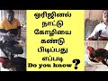 How Do Find Original Nattu Koli ? | Nattu Kozhi Vs Cross Koli Different| Tamil | Eden TV Info
