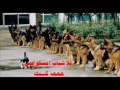 شات اهل الاردن نياكة ام ايمن الارهابي شيطون مسهرني