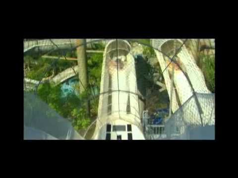 Blizzard beach coupons
