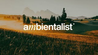 The Ambientalist - Melody