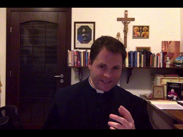 Watch Our Lady of Compassion: Patron of the the FSSPX Sisters and Oblates on YouTube.