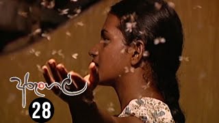 Arungal | Episode 28 - (2020-07-12) 