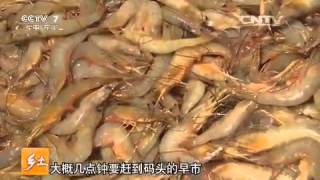 20151201 乡土 海上谋生的人
