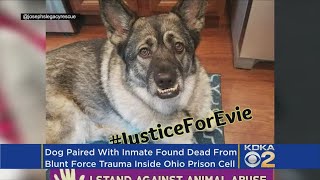 Dog In Prison Foster Program Found Dead In Cell Of 'Blunt Force Trauma'