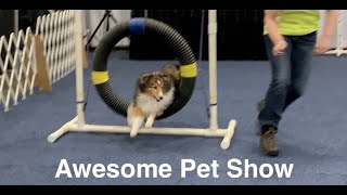 Awesome Pet Show, Fredericksburg, Virginia