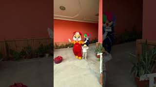 Admin 998943070526