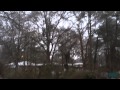 Musical storm A. R. Rahman