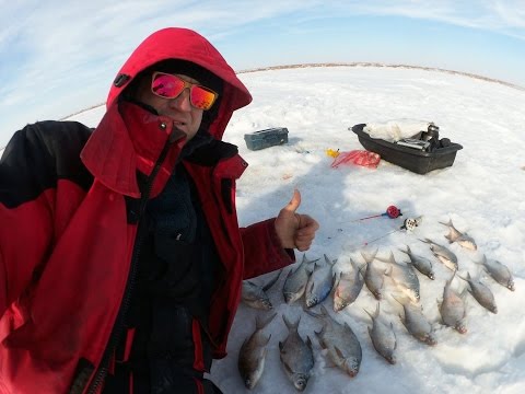 ловля плотвы на горьковском водохранилище видео ловля плотвы на горьковском водохранилище видео