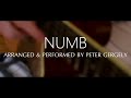 Numb - Linkin Park (fingerstyle guitar cover by Peter Gergely)