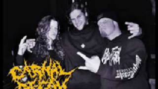 Watch Carnal Decay Ignorance video