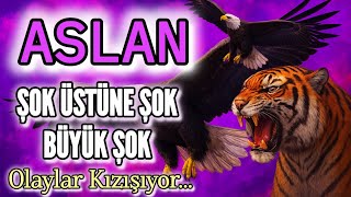 Aslan Burcu Son Gündem