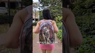 Perfect Cutest Cat Backpack Carrier From Temu