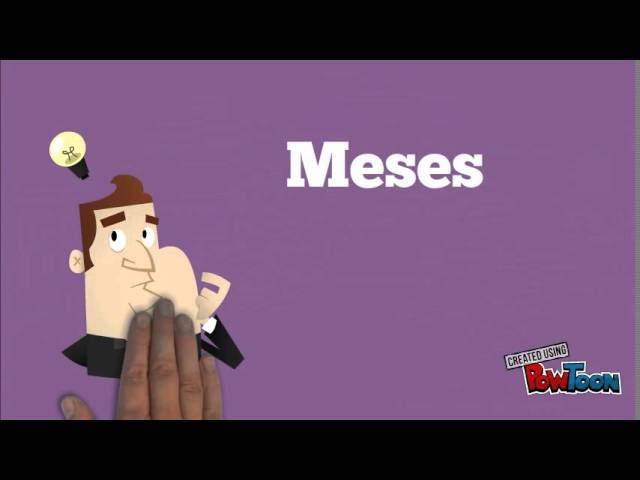Recursos - 2º Ano de escolaridade