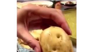 This Isnt A Potato Wait For It Saxophone Chihuahua