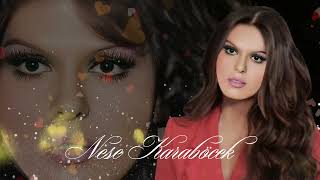 Neşe Karaböcek Damarımda Kanımsın 1970 Plak Kayıt 45Lik 01Mp4