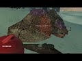 Let's Play The Long Dark - Episode 10 - Pop The Trunk