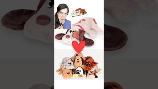 Did You Know This About Pound Puppies?