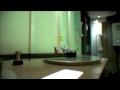 blender