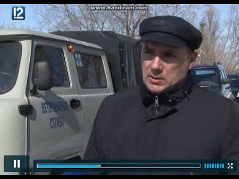 Карантин в омской области 2018 Карантин в омской области 2018
