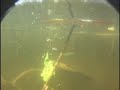 World's Best Bass FROG underwater