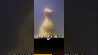 Russian Homunculus Pt 2