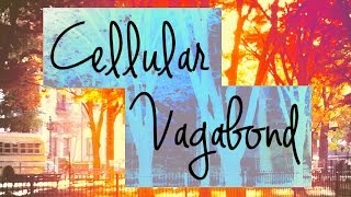 Cellular Vagabond: My World Through An iPhone
