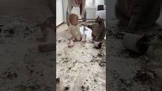 Cat And Baby Blaming Each Other