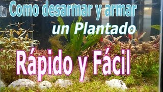 como desarmar y armar un acuario plantado