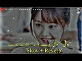 Laila Laila Yama Pashto Song | (Slowed & Reverb) | Singaar Che Zaan Krama | @kingofficial64 #viral