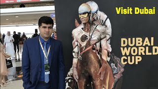 Dubai World Cup | World’s Most Expensive Horse Race 🏇 | Visit Dubai | UAE Travel Vlog
