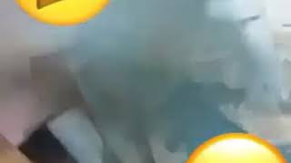 Kasib Uşaq Gulmeli Video