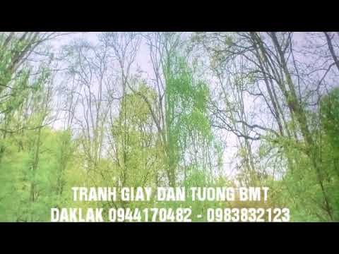 TRANH - GIẤY DÁN TƯỜNG BMT DAKLAK
