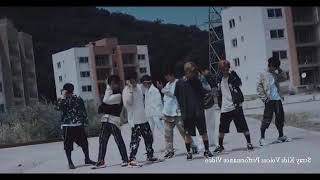 Stray Kids Voices Dance Mirror Compilation