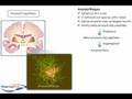 3 Common Causes of Bed Wetting default 3 Common Causes of Bed Wetting