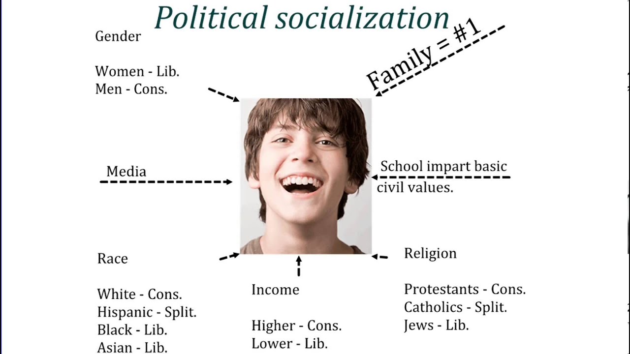 Political socialization essay   essaysforstudent.com