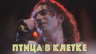 Валерий Леонтьев - Птица В Клетке