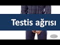 Можно Ли Востановить Потенцию
