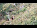 Trip 2 - 2012 Scouting for Elk on the Wasatch Limited Entry Elk Unit