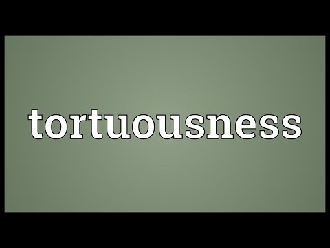 Header of tortuousness