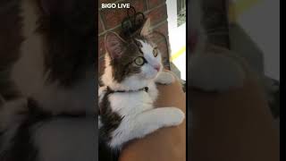 A Cool Video Here, Watch And Enjoy It