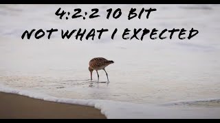 1St Vlog On The A7Siii 4K60 10 Bit