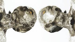 Sleater-Kinney - Shadow Town (Official Audio)